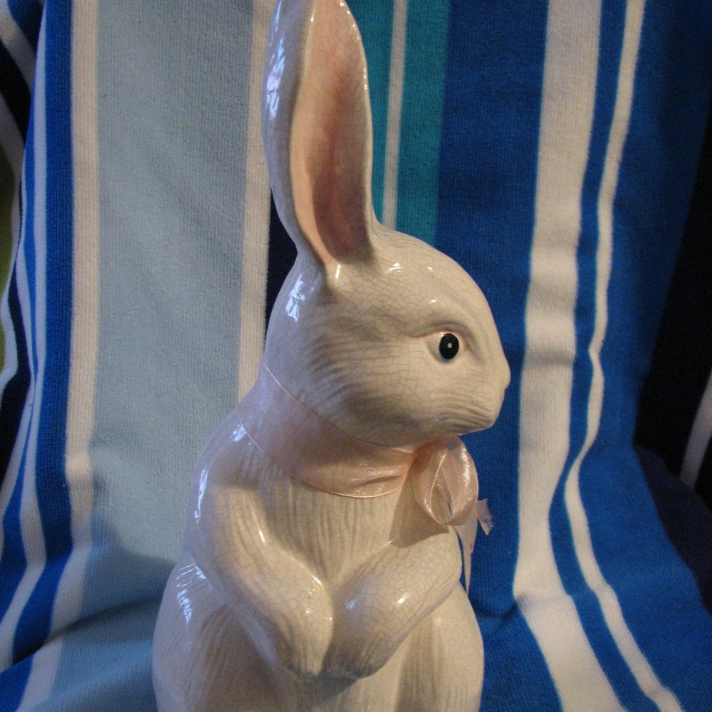 Bunny Rabbit - Picture 5 of 6